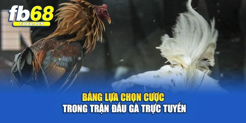 Bảng lựa chọn cược trong trận đấu gà trực tuyến